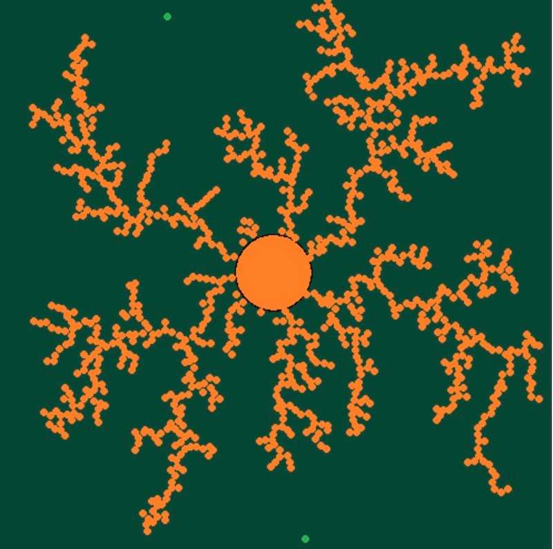 Diffusion-limited Aggregation